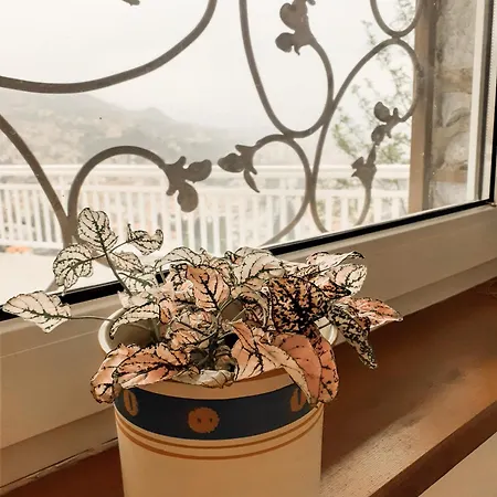 Apartamento View - *