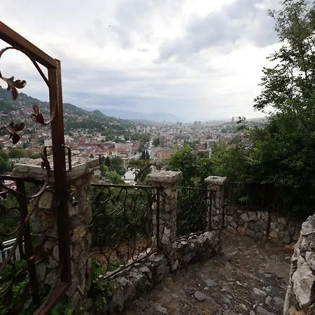 View -